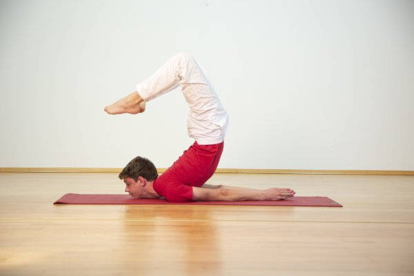 Scorpion